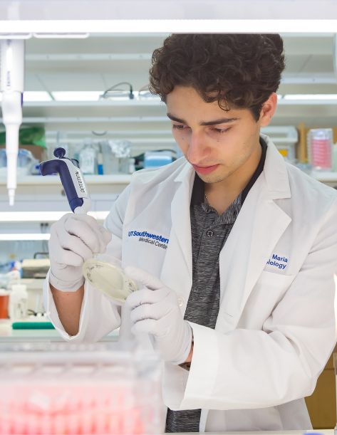 A medical scientist examining an individual lab specimen from a tray of samples
