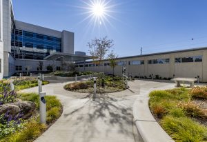 Exterior of Texas Behavioral Health Center courtyard and garden.